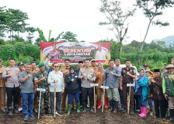 Polresta Bandung Laksanakan Penanaman Jagung Serentak 1 Juta Hektare di Ciparay