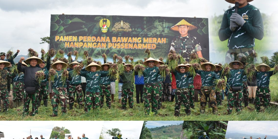 Pussenarmed Panen Bawang Merah